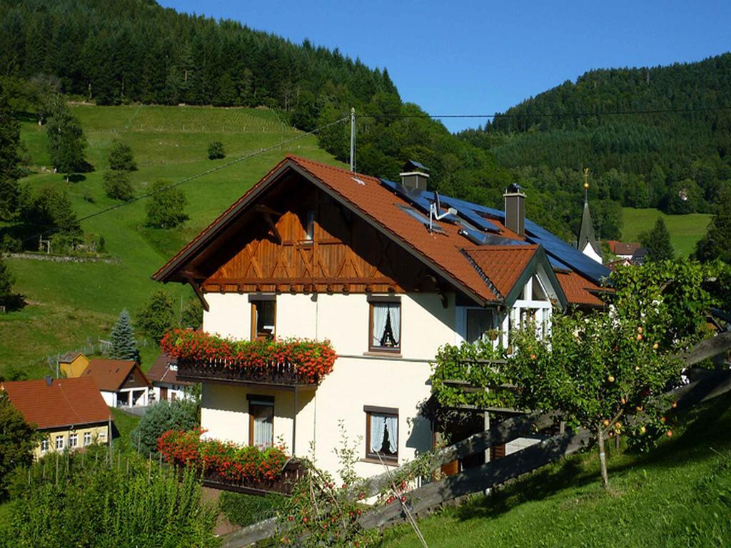 Haus Harter Apartment Wolfach Exterior photo